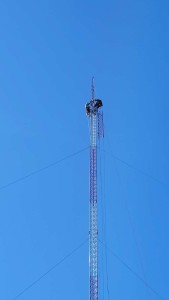 Compress_20250717_103514_4945